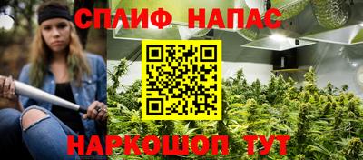 прущие грибы Краснокаменск