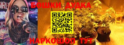 mdpv Краснознаменск